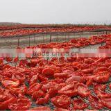 Hot Sun Dried Tomatoes Supplier Prices thumbnail-3