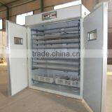 5280 Commercial Incubator for Hatching Eggs