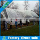 Economical Arch Roof Type Tunnel Greenhouse Steel Structure Greenhouse Panels thumbnail-4
