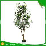 Top Quality Artificial Money Tree for Decoration thumbnail-1