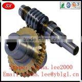 ISO/RoHS/SGS Passed Brass/bronze/stainless Steel Helical Gear Prices,elevator Safety Gear,stepper Motor Worm Gear thumbnail-1