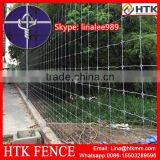 SGS/ISO/BV Factory Horse Field Fence thumbnail-1