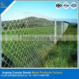 Animal Fencing Application Chain Link Fence Suppliers