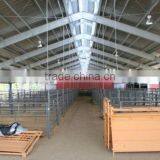 Modern Cheap Steel Structure Building for Sale thumbnail-2