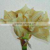 SJ1012074 Artificial Wholesale Factory Price Hippeastrum Amaryllis Flower Silk thumbnail-2