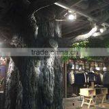 Derorative Ficus Tree