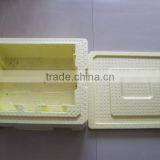 EPP Thermal Isulation Packing Box thumbnail-1