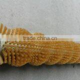 Vegetable Washing Brushes thumbnail-1