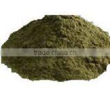 Gymnema Extract thumbnail-3