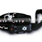 Lighted Retractable Dog Leash thumbnail-1