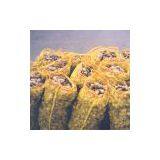 Sell Ginger thumbnail-1