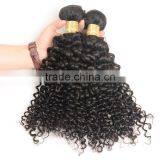 7A Grade Wholesale Price Raw Indian Curly Hair thumbnail-5
