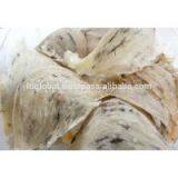 100% Natural Bird Nest From Viet Nam thumbnail-1