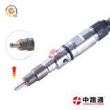 Common Rail Diesel Injector Bosch Repair 0445120447 Fuel Injector for 6DM13 thumbnail-2