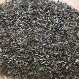 Supply of Green Tea, Coarse Tea, Pearl Tea, Mass Tea, Large Leaf Tea, Suitable for Hotels and Guesthouses to Drink Ai'e Awdiaec Selenium Rich Tea thumbnail-5