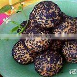 Commercial Sweet Sesame Ball Production Line thumbnail-3