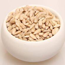 Hulled Sunflower Seeds Bulk thumbnail-1