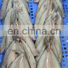 Good Quality Frozen Breaded Horse Mackerel Fish Fillet thumbnail-2