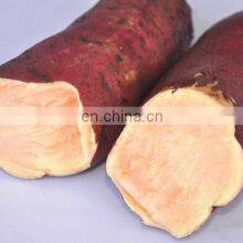 Chinese Yam Fresh Sweet Potato thumbnail-5