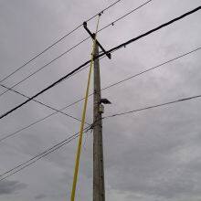 Overhead Line Fault Indicator for Generator, Transformer, Cables, Loads thumbnail-3