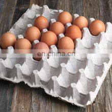 Biodegradable Molded Paper Waterproof Pulp Cardboard Egg Cartons Flats Egg Tray thumbnail-4
