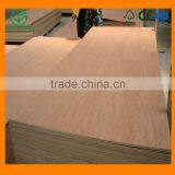 Shiny Bintangor Veneer for Interior Decoration Form China Wood Factory thumbnail-2