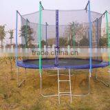 10FT Spring Trampoline with Safety Enclosure and Ladder