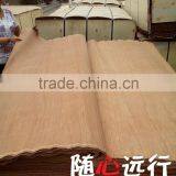 4*6/3*6 AB Grade PLB Veneers Ready for Shipping thumbnail-6