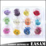 12 Colors Jar Nail Dry Flower Set,big Nail Art Dry Flower thumbnail-1