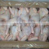 Grade A Halal Brazilian Whole Frozen Chicken, Chicken Parts, Brazilian Origin thumbnail-4