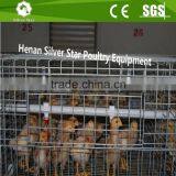 Chicken Rearing Cage, Chicken Farm Cage for Egg Laying Hens thumbnail-2