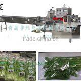FFC Horizontal Automatic Grocery Packing Machine