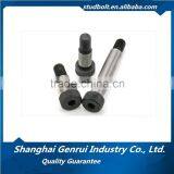 High Carbon Steel M12 High Press Stop Bolt Stuff Screw