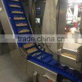 Quick Release Pvc Belt With Baffle and Side Guide Conveyor for Bean