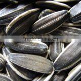 Chinese Black Sunflower Seed thumbnail-2
