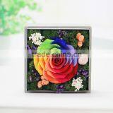 2016 Yiwu Aimee Wholesale Fresh Colorful Preserved Flower(AM-PF01) thumbnail-1