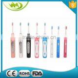 China Wholesale OEM Service Electric Adult Toothbrush thumbnail-6