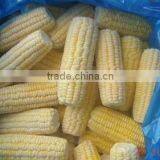 Frozen Yellow Maize (Sweet Corn)