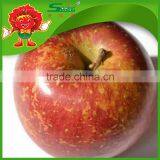 Red Delicious Apples High Quality Chinese Fuji Apple Red Chief Apple thumbnail-1