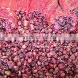 HOT SALE/ BEST QUALITY RED ONIONS Export to Any Country thumbnail-1
