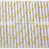 Food Grade PP Paper Wrapped Large Diameter Drinking Straws for Birthday Party