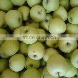 Fresh Green Qinguan Apple thumbnail-1