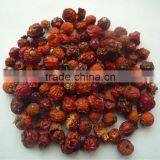 High Quality Naural Wild Dried Rosehip Whole Fruit thumbnail-5
