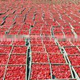 Sun Dried Tomatoes by Salt Red Color thumbnail-5