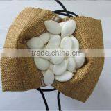 High Quality Snow White Pumpkin Seeds 11cm 13cm, New Crop thumbnail-1