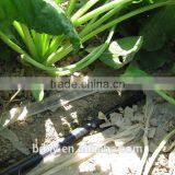 Water Saving Irrigation Tape thumbnail-1