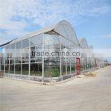 Good Quality Cheap Agricultural Greenhouse thumbnail-4