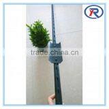 High Quality Anping Manufacturer Green Painted Cheap t Post thumbnail-4