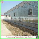 Commercial Steel Frame Venlo Polycarbonate Greenhouses With Irrigation System thumbnail-4