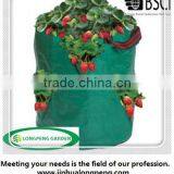 PE Garden Strawberry Vegetable Planting Bag